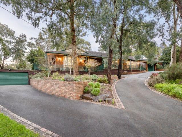An Oasis in Suburbia