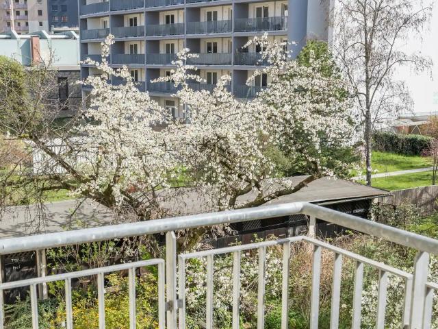 Anna and Friends Top 8, Graz Amsterdam Apartments for Rent
