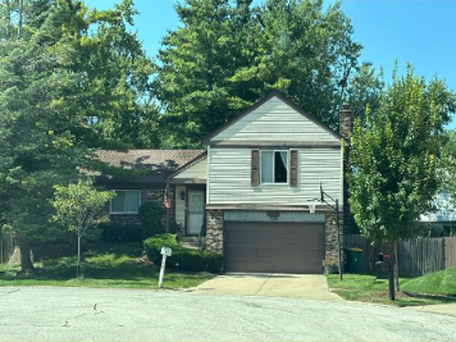 Anne Ct