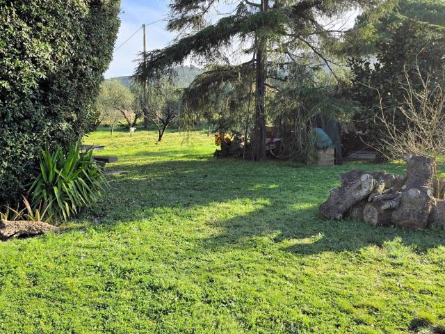 Annesso agricolo con ampio terreno vicino al mare in vendita. 80m² Scarlino scalo