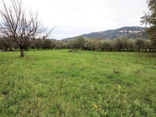 Annesso agricolo da ristrutturare in splendida posizione in. 60m² Gavorrano