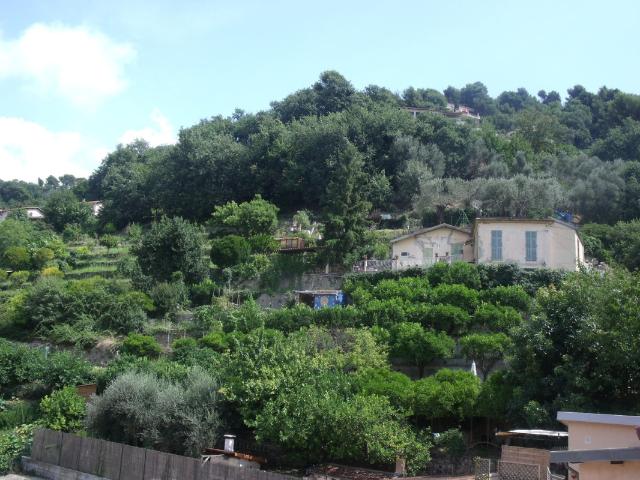 Annonce appartement à louer