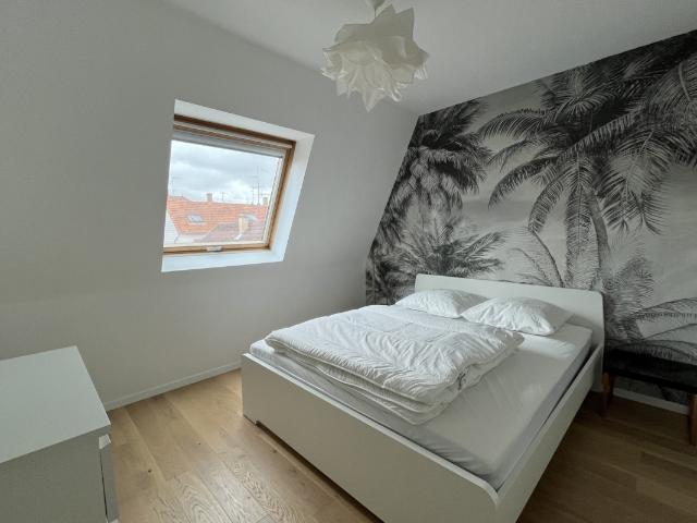 Annonce appartement à louer
