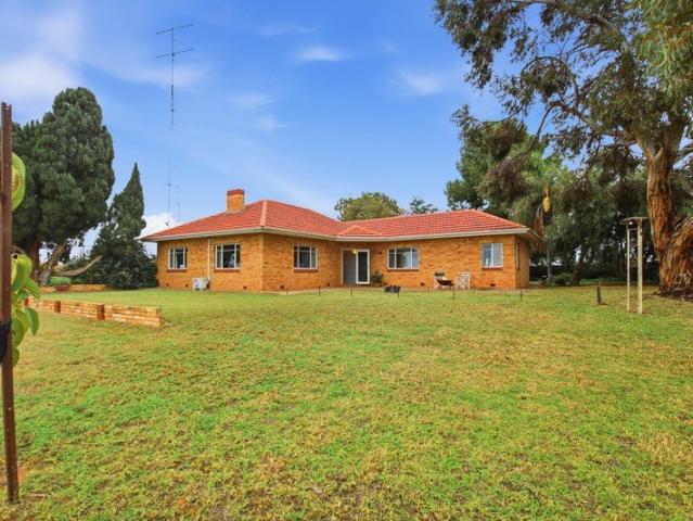 ANOTHER ONE SOLD BY DARRIN TRANDAFIL AND JUSTICE EBERT
