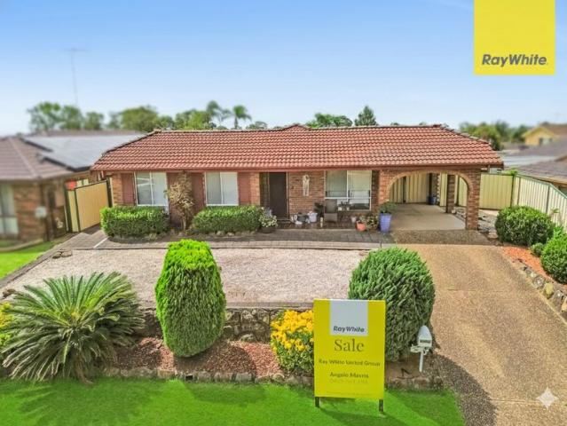 Another Under Contract by Angelo
