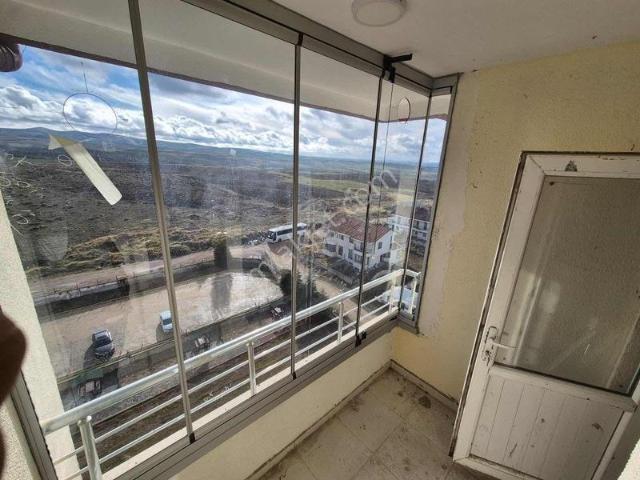 Ana Cadde Yakını Geniş Daire