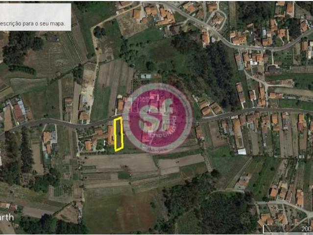 Anadia Anadia 101014274