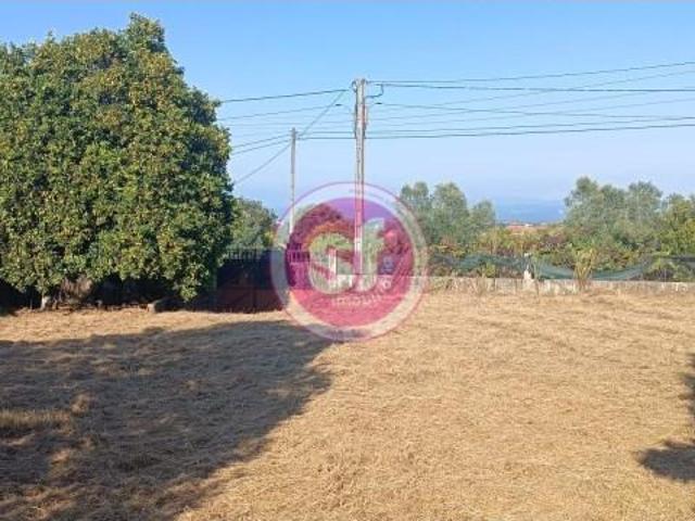 Anadia Anadia 97117811