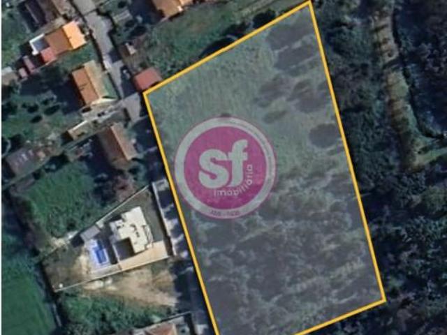 Anadia Anadia 97117979