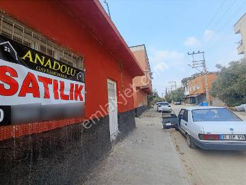 Kozan, Adana ili, Akdeniz Bölgesi