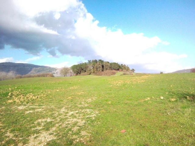 Anagni Lazio 03012 96267826