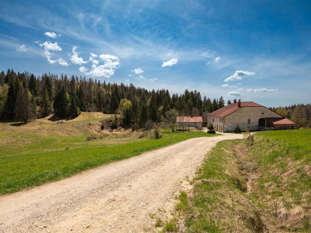Ancien corps de ferme rénové – Gîtes + habitation 710m² Les Moussières