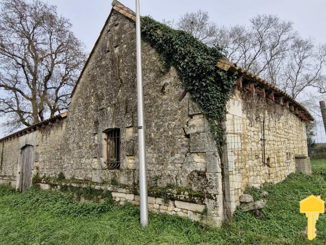 Ancien chai à rénover 200 m2, terrain de 1987 m2