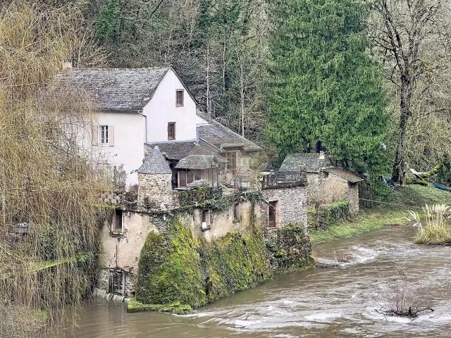 Ancien Moulin Cadre Bucolique 335m² Tanus