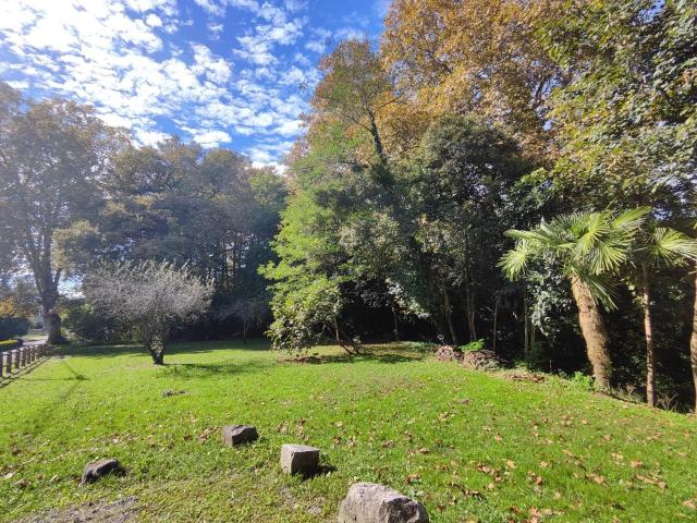 Ancien moulin du 19e avec parc arboré et piscine 283m² Orthez