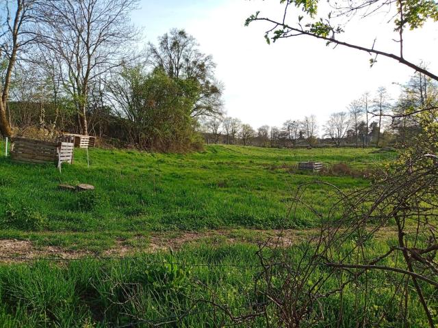 Ancien moulin / 2 logements sur environ 1,8Ha. 310m² Saint Martin la Patrouille