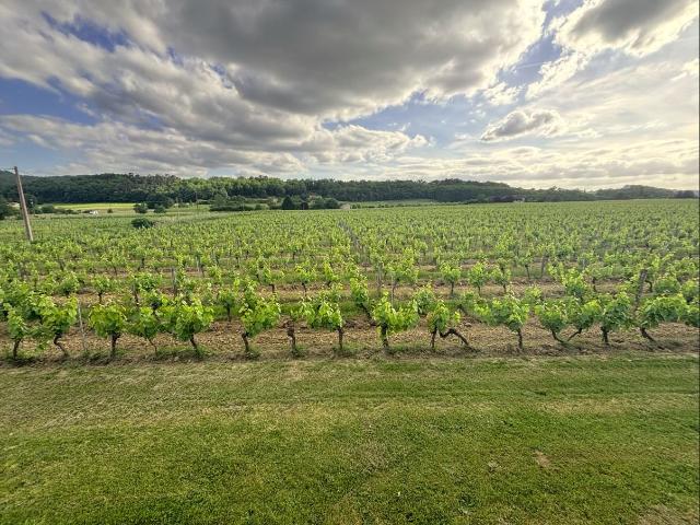 Ancien Vignoble Avec Maison, Dependances Et Puits Sur 1.8 Ha. 150m² Vire sur Lot