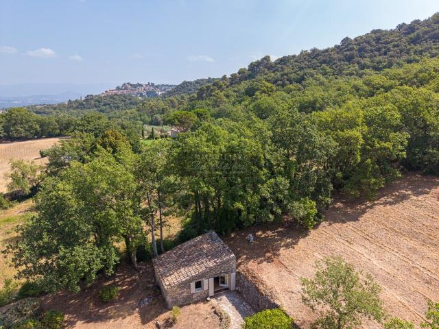 Ancienne bergerie de caractère à Bonnieux au coeur d'un envi. 35m² Bonnieux