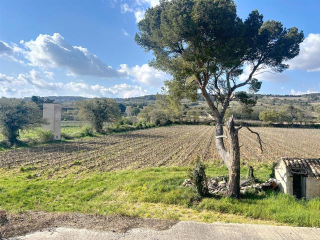 Ancienne Ferme Viticole A Restaurer De 383 m2 de Surface Tot. 115m² Saint Maurice sur Eygues