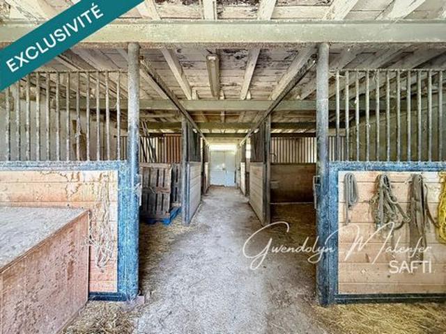 ANCIENNE FERME À RÉHABILITER – PLUS DE 6 000 M² DE TERRAIN – IDÉAL CHEVAUX