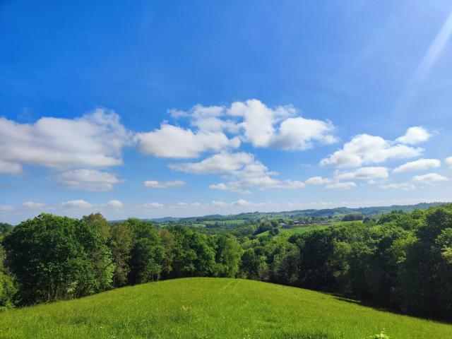 Ancienne maison de maître avec piscine et vue sur la campagn. 151m² Salies de Béarn