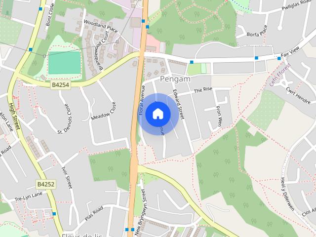 Aneurin Avenue, Fairview, NP12