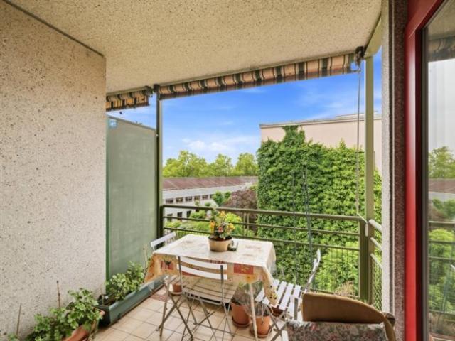 Angenehme Wohnung – Petit Lancy