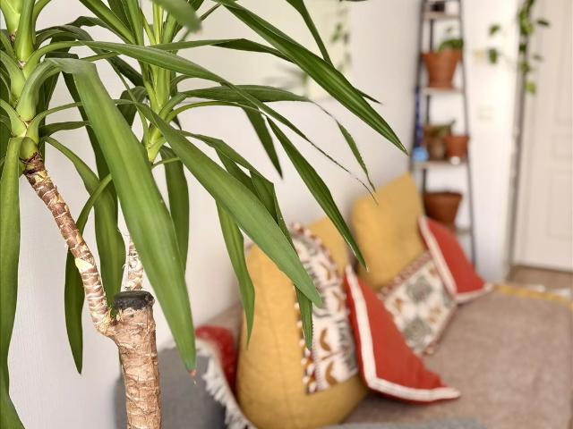Angers / Secteur Ney Appartement / 1 Chambre Proche Comm. 49m² Angers