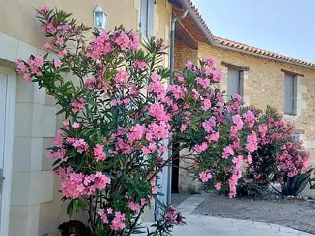 Angliers 86330 Achat / Vente maison 7 pièces t7