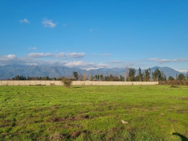 ANGOSTURA SAN FERNANDO