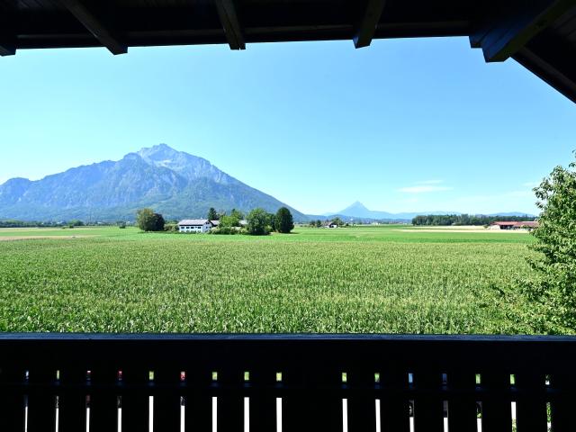 ANIF | Großzügige 3 Zimmer Wohnung mit Loggia, herrlichem Untersbergblick und direkter Grünlage