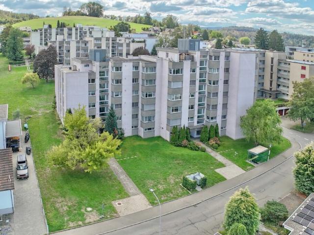 Ankommen und wohlfühlen renovierte 4 Zimmer Wohnung in Gebenstorf
