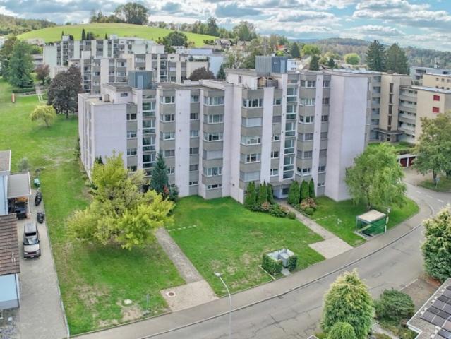 Ankommen und wohlfühlen renovierte 4 Zimmer Wohnung in Gebenstorf