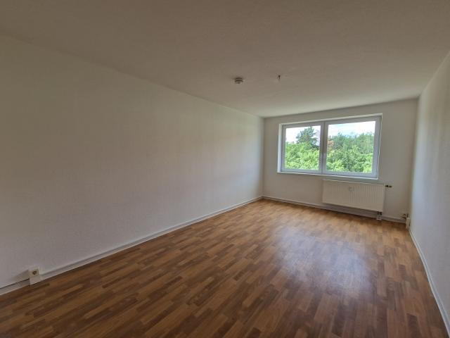 Ankommen, zuhause sein & Einzugsgutschein abstauben!* 2 Zimmer Wohnung in Roßlau