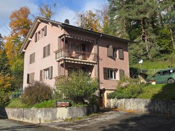 Renditeobjekt mit 3 Wohnungen und Grünfläche von 1'400m2