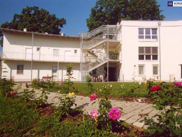 ANLEGER AUFGEPASST+ 4 WOHNUNGEN in TOP LAGE WAGNA+ NNF 336 m²+Befristet Vermietet mit hohen POTENZIAL