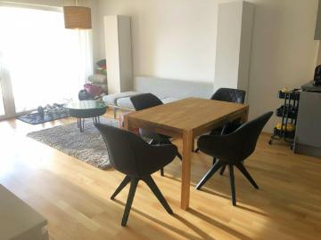 Anleger Aufgepasst! Neuwertige 2 Zi. Wohnung in Mondsee Vermietet bis 31.12.2026