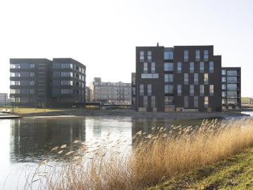 Bergse Plaat, Gemeente Bergen op Zoom, Noord-Brabant