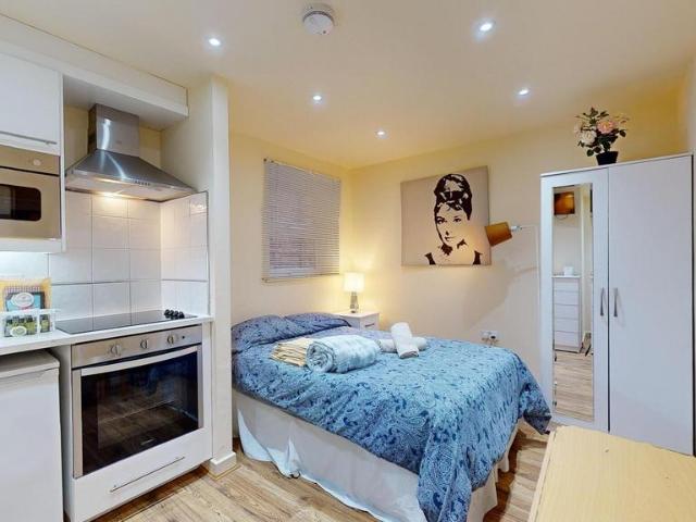 Anson Road, London NW2 Studio to rent £1,378 pcm £318 pw