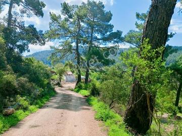 Kumluca, Antalya, Antalya ili, Akdeniz Bölgesi