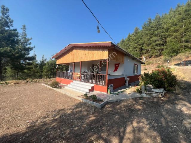 Antalya Kumluca'da 6.326 M² Satılık Arazi evli & Zeytinlik