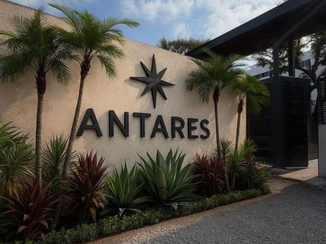 Antares #8