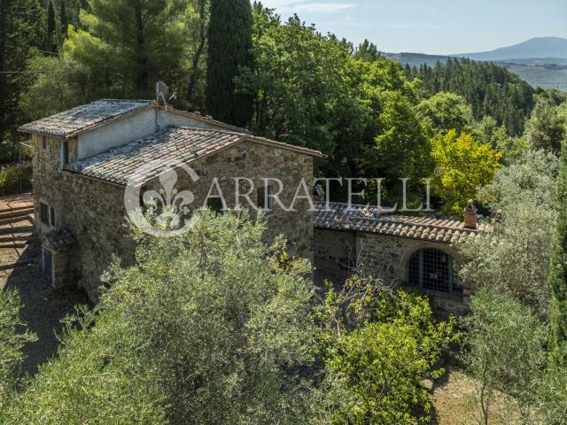 Casale ristrutturato con annesso e oliveto in Val d’Orcia 230m² Castiglione d'Orcia