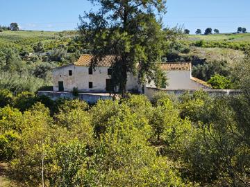 Antiguo molino de aceite, inversión ideal para proyecto rural 400m2 + 80.000m2 de frutales y espacios naturales