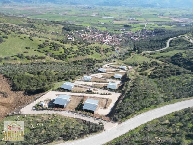 Antika Gayrimenkulden Doyranlı'da Satılık Temiz Doğa Yaşam Alanı