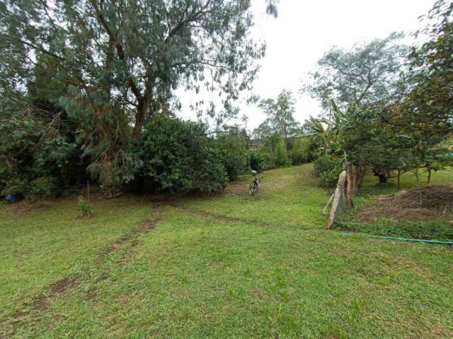 Antioquia, Guarne, La Pastorcita
