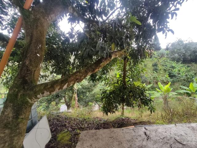 Antioquia, Rionegro, Vereda La Playa