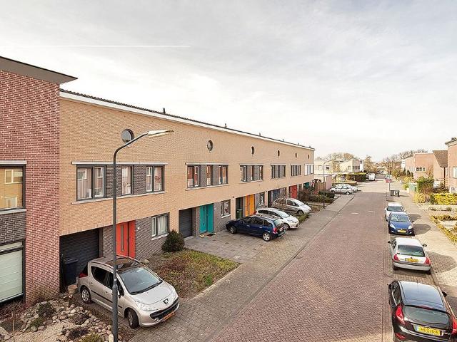 Anton Wachterstraat 24