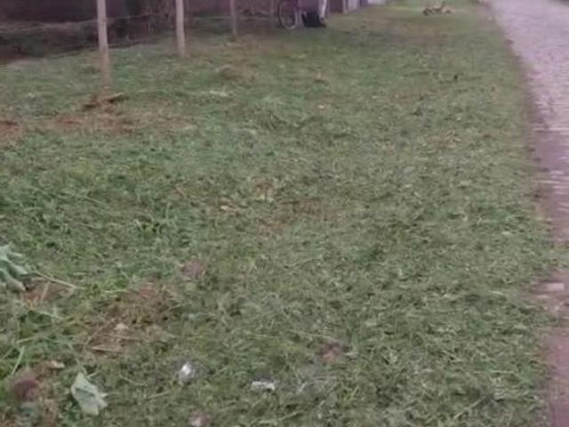 Antonina Terreno plano de esquina na Avenida 402m² no bairro Penha