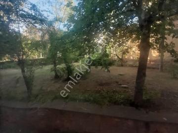 As Emlaktan Yenikent Mh.kümeevlerinde Kiralık Balkonlu 3+1 Daire